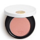 Відтінок Hermès Rose Hermès Silky Blush 6gr: 47 Rose Ambré
