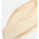 Кремовый хайлайтер Bondi Sands Highlithing Cream Gold Lights 25 ml