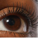 Відтінок Refy Lash Sculpt 10 мл: Black