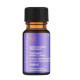 Відновлювальна олія для світлого та сивого волосся Moroccanoil Treatment Purple 10 ml
