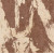Diffused Bronze Light 